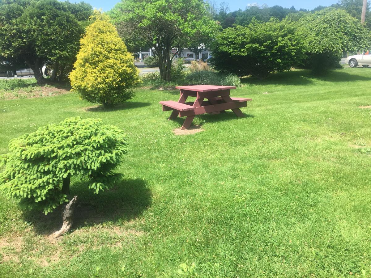 The Black Mountain Inn ブラトルバラ エクステリア 写真
